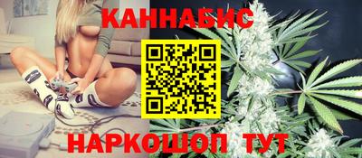 шишки Жуковский